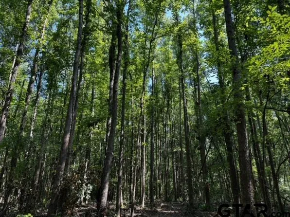 TRACT J/500 Private Rd #8507, Van, TX 75790