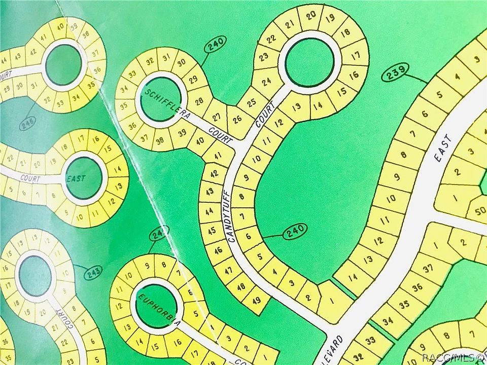 2nd image of 8 Schefflera Ct