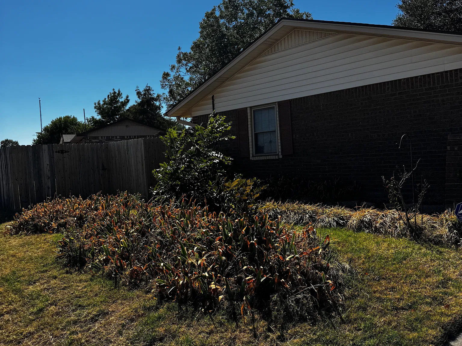 4 bed, 1456 sqft, $2,195 — Photo 2