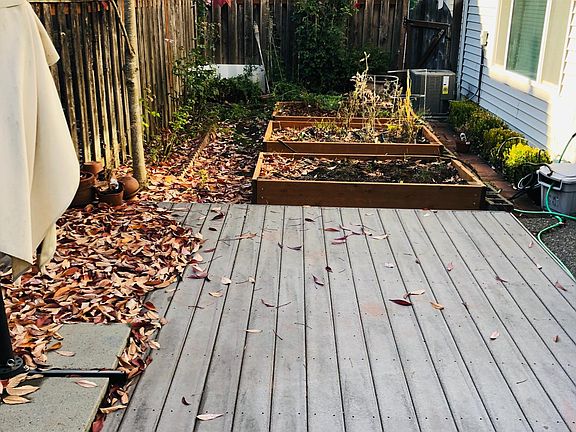 More back yard, setup to grow vegetables your favorite veget