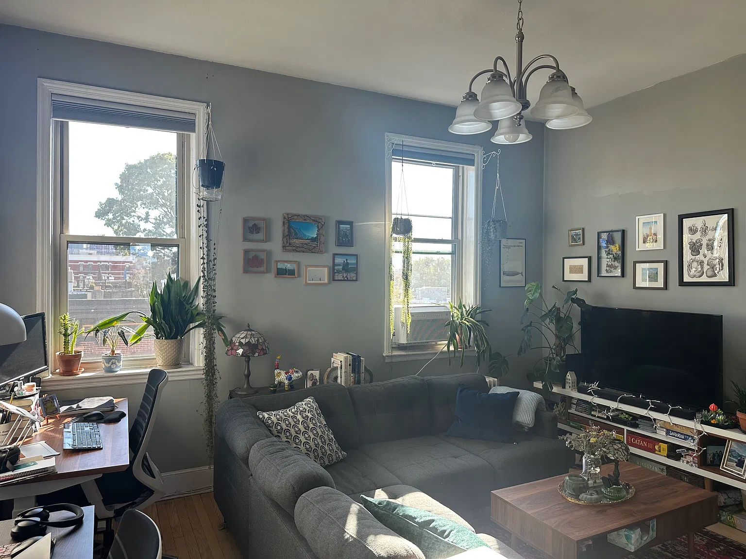 1 bed, 700 sqft, $2,500 — Photo 1