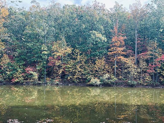 2nd image of 529 Tranquility Lakes Dr