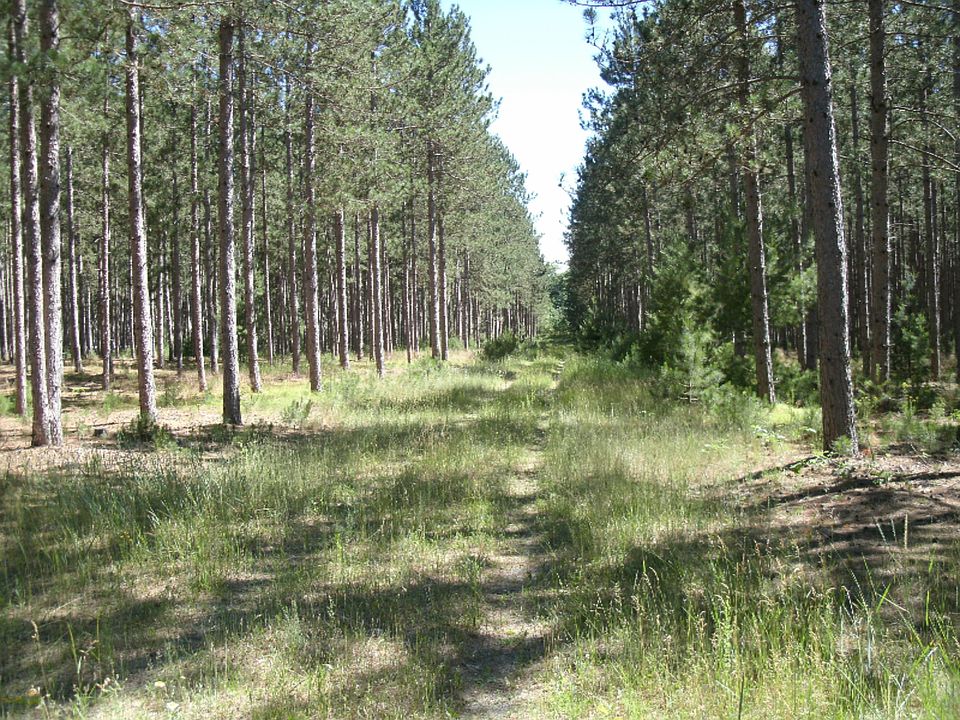1st image of 10798 N Timber Dr