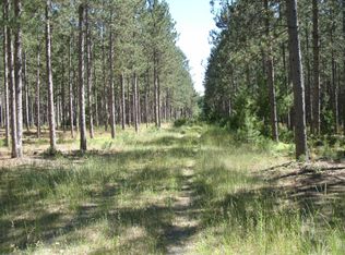 10798 N Timber Dr, Irons, MI 49644