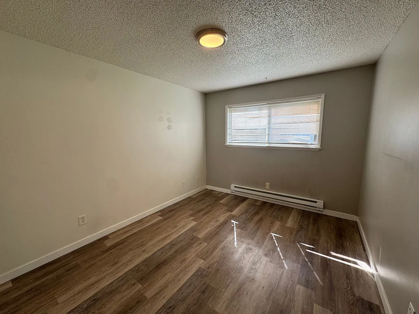 Pine Villa Apartments — Photo 2