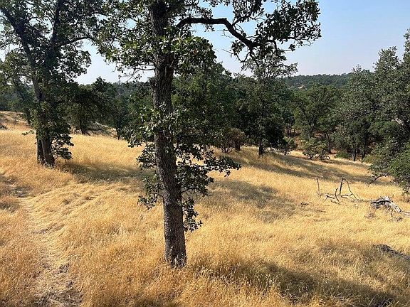 4th image of 171252 Quail Ridge Rd