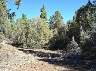 0 Nm Branch Hwy #64, Tierra Amarilla, NM 87575