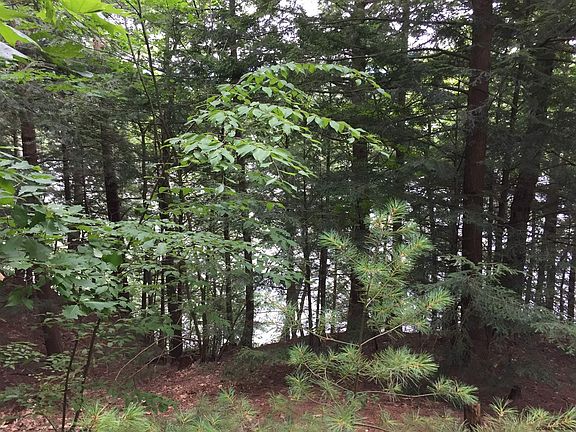 2nd image of 153 E River Dr
