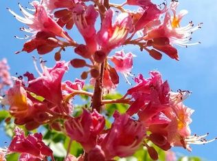 10 Maynard St, Pawtucket, RI 02860