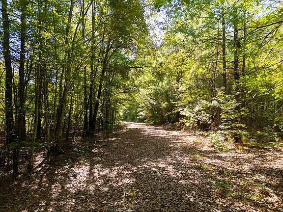 4th image of Beall Ln