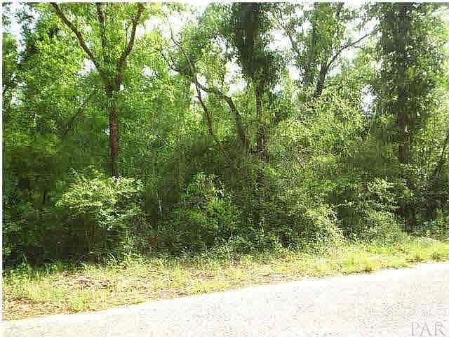 2nd image of 0 Segrest Rd