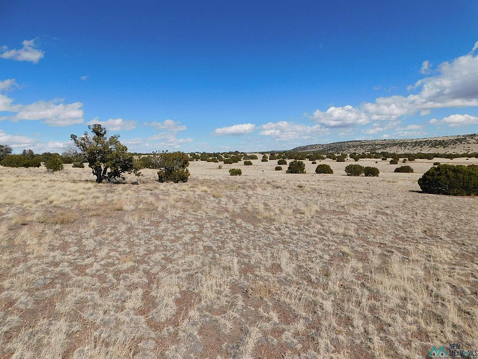 1st image of 217 Lariat Ln