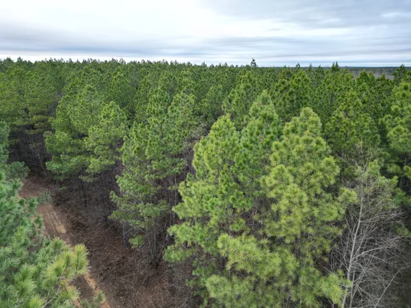 0 Liberty Ridge Rd, Hohenwald, TN 38462