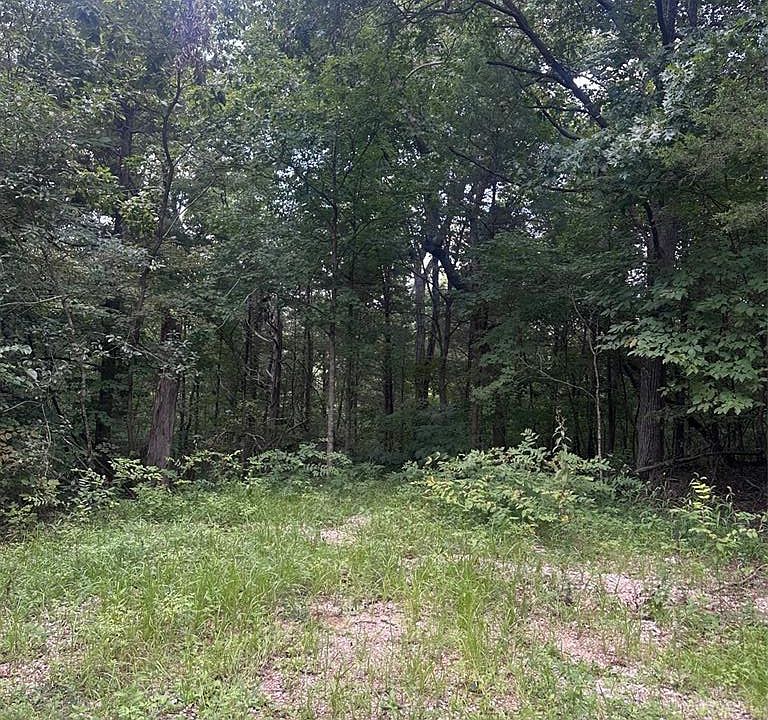 2nd image of 515 Lake Cove Trl