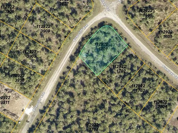 Plumleaf Ter Lot 1, North Pt, FL 34288