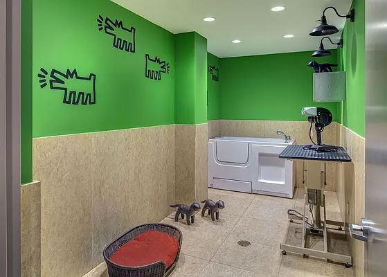 Rented by Halcyon Management Group LLC | media 26