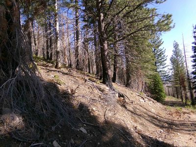 Xox #43N33, Weed, CA, 96094