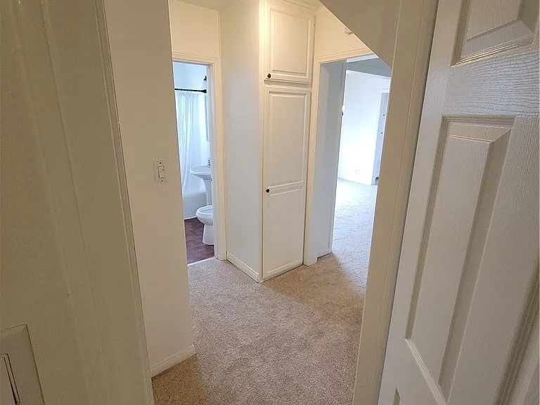 8001 Coral Bell Way — Photo 19