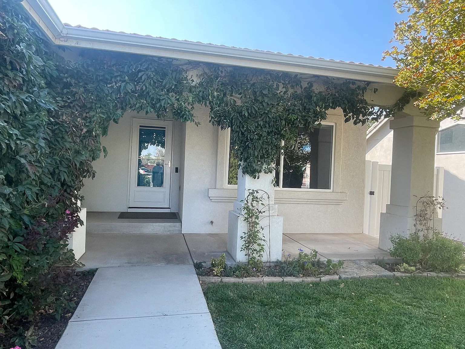 219 Mary Lou Ln — Photo 3