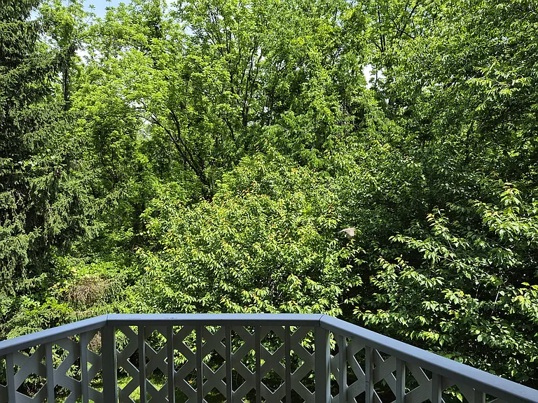 812 Diamond Dr — Photo 14
