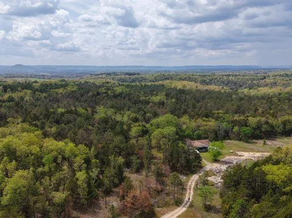 703 Old Dolph Rd, Calico Rock, AR 72519