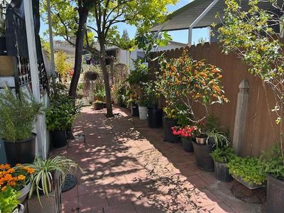 486 Pomegranate Ln #486, San Jose, CA, 95134