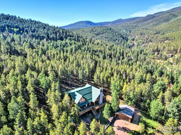 8750 London Ln, Conifer, CO 80433