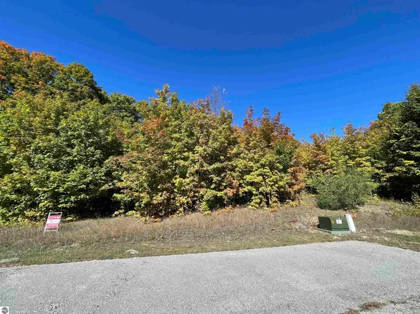 24/25 Quail Ct, Bellaire, MI 49615