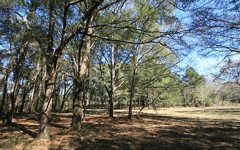 5th image of 1630 County Road 252 #B