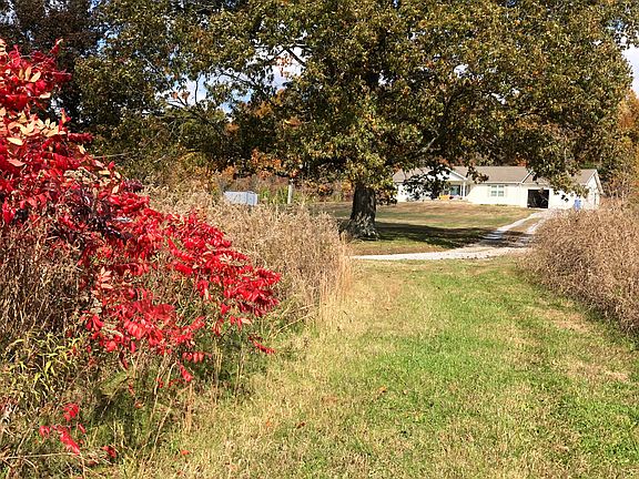 View from a mowed trail