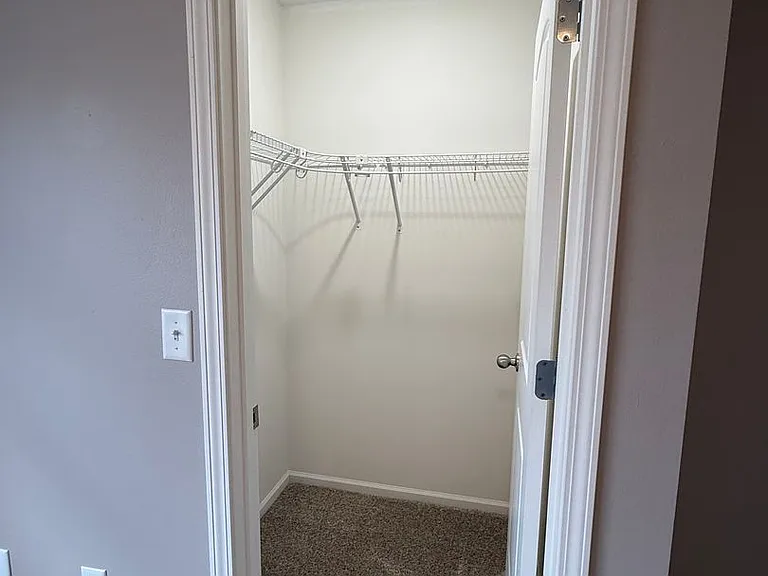 185 Bald Cypress Ct — Photo 18
