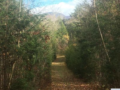 66 Harra Rd, Jewett, NY, 12444