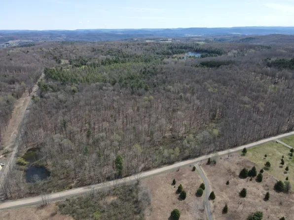 0 Cook Rd, Cooperstown, NY 13326