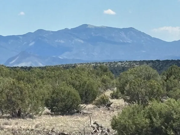 LOT 24 Pinon Springs Rd, Magdalena, NM 87825