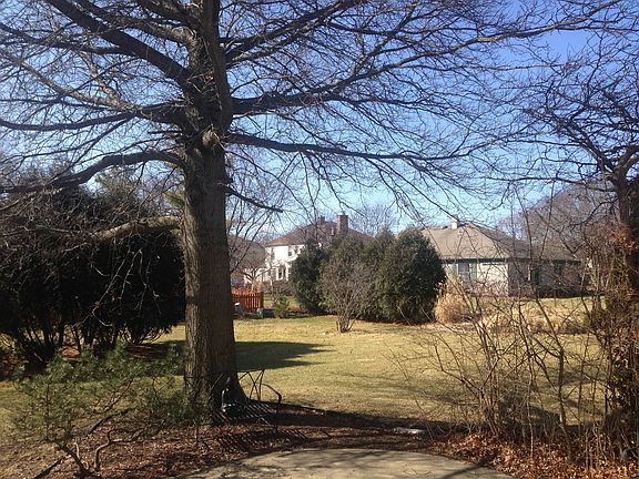 Beautiful large backyard