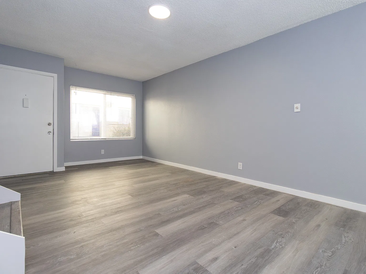 3 bed, 1.5 bath, 900 sqft, $2,900 — Photo 3