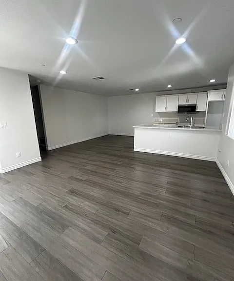 open lay out living room/kitchen