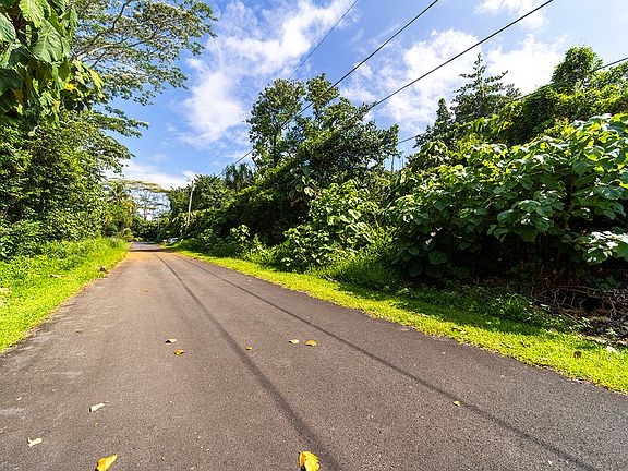 4th image of Opakapaka St Lot 10