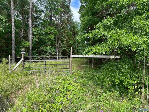 243 Friendship Rd, Rainbow City, AL 35906