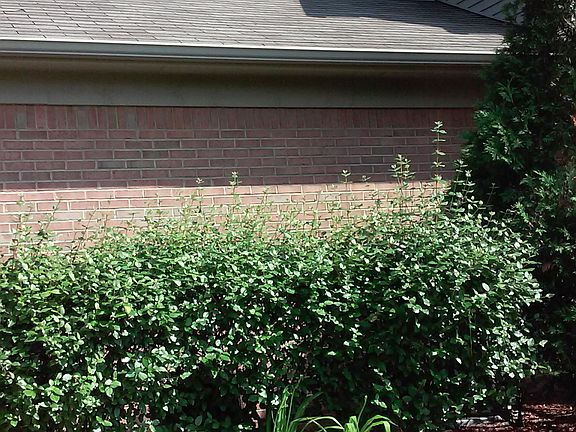 4th image of 15705 Parkway Lane #Unit#7