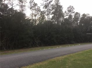 10594 NE 104th Cir, Oxford, FL 34484