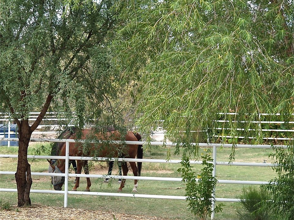 1st image of 9887 N Camino De Oeste