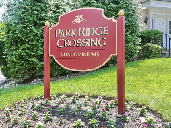 113 S Maple Ave #B, Park Ridge, NJ 07656