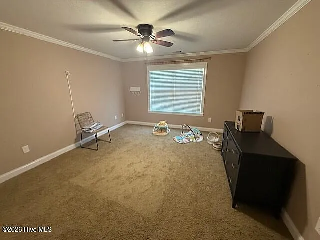 817 Mayo Ln — Photo 9