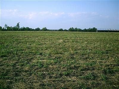 1st image of 171 Chrisman Oaks Trl