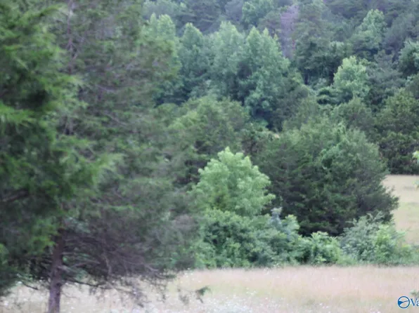 30 Ac Hwy #11-N, Valley Head, AL 35989