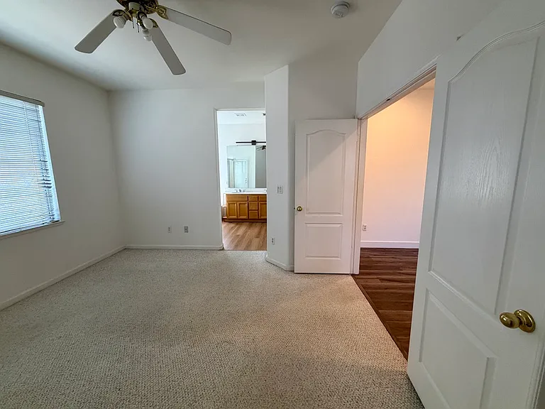 175 Images Cir — Photo 22