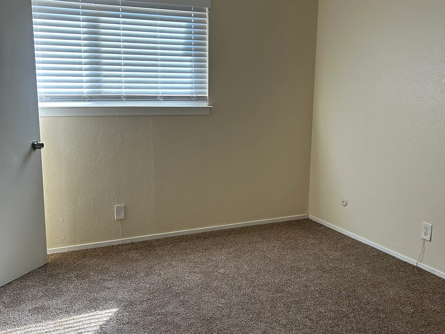 1 bed, $1,200 — Photo 3