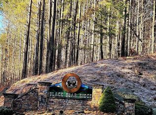 37 Black Bear Ridge Rd, Ellijay, GA 30536