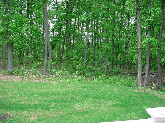 view from deck